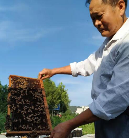 《余天和 荣获由历晨网络科技主办“中医康》 